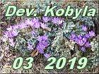 Dev. Kobyla